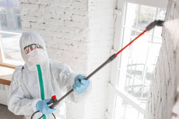 Best Commercial Mold Inspection  in Phoenix, OR