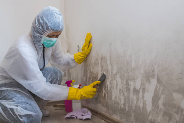 Best Airborne Mold Testing  in Phoenix, OR