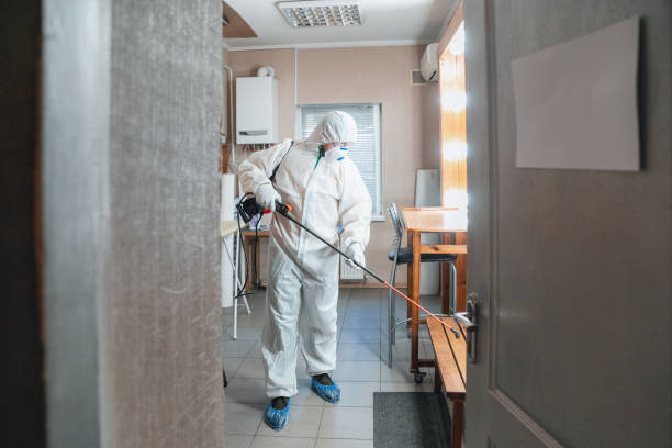 Best Black Mold Removal  in Phoenix, OR