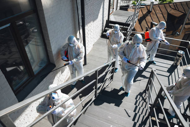 Best Crawl Space Mold Remediation  in Phoenix, OR