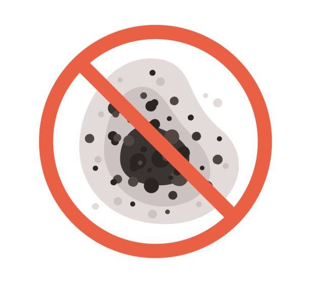 Best Mold Prevention Services  in Phoenix, OR
