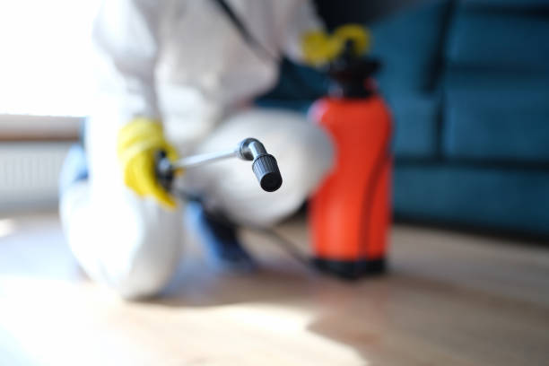 Best Air Quality Testing for Mold Spores  in Phoenix, OR