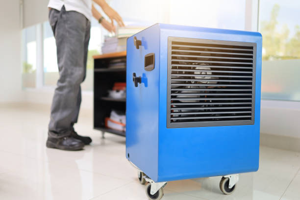Professional Mold Removal in Phoenix, OR